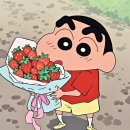팜므슈 | [25.09.05-25.09.07] 3일에 걸쳐 기념한 생일 후기