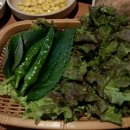 서화순간바지 이미지