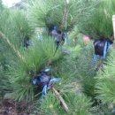 반송농장 이미지