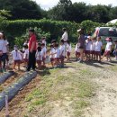 위즈캐슬 이미지