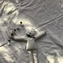 (주)곰소프트 이미지