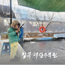대화송어양식장 | 칠곡 아이와 가볼만한곳, 체험 가득 덕산수목원