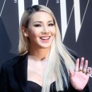 더블유씨엘 이미지