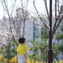 대현산공원(간) 이미지