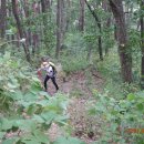 공작산주차장 이미지