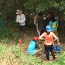 동산통신 이미지