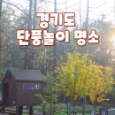 양평늘봄공인중개사사무소 | 경기도 &#39;단풍놀이 명소&#39; 6곳