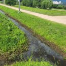 낙동강관리본부 대저생태공원 6 | 15분도시 부산 대저생태공원 축구장A 방문 후기