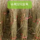용문슈퍼 이미지