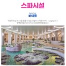 스플라스리솜 이미지