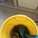 자신만만청소 이미지