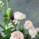 힐링 꽃꽃이 이미지