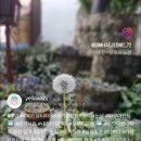 비비드뷰티 - 연수구 원인재로 180 | 비비드뷰티