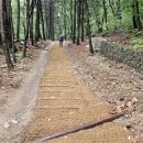 서유1호 이미지