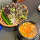 솥쟁이 | [구리_갈매미나리솥뚜껑]미나리 기본 제공 삼겹살집 발견! 갈매미나리솥뚜껑 솔직후기
