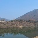 청령포