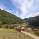 수리산 도립공원 이미지