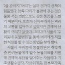 핸드폰나라 이미지