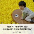 양산 베이비&amp;키즈카페_실내 미니 동물원이 있는 리틀히어로주 이용정보 및 후기