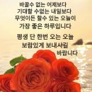 노을연가 이미지