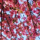 계룡로13길 이미지