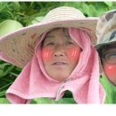 식이네농장 이미지