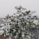 하얀세상 이미지