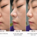덤 - 용인시 기흥구 구갈로60번길 3 | 대용량 클렌징 로션 추천 /시크릿덤 콜라겐 클렌징 로션 후기