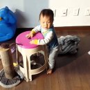 참좋은보조기 이미지