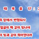 보리떡다섯개 이미지