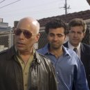 더펫(The Pet) 이미지