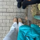 돈bro | 몰아서 쓰는 대만/삿포로/도쿄/후쿠오카/쿠알라 여행기