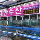 이글스회타운