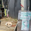 대구중구시니어클럽 마실김밥2호점 이미지