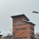 양평읍 내 남북로 이미지