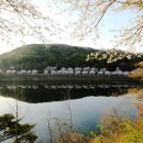 고남저수지 이미지