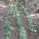 현동농장 이미지