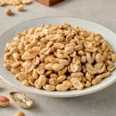 땅콩이네 이미지