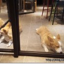 에이스프라자2 이미지