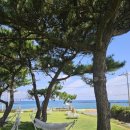 함덕스쿠버다이빙 이미지