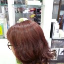 봉곡동143 이미지