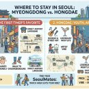 Seoul Best Stay 티스토리