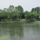 바람새마을 이미지