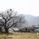 소랭이 마을 이미지