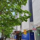 제일쇼핑~새서울상가 이미지