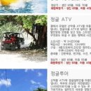 스피디카 이미지