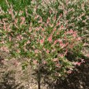 옥동 우리마트 이미지