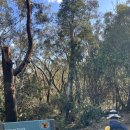 Nature Track Blue Mts N. P NSW by John Hwang n Mateo Kim , 8 Aug 2026 이미지