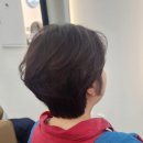 머스마컷트 | 효성동 미용실 온결살롱에서 긴생머리 신소율 숏컷으로 잘랐다