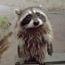 삼정약국 이미지